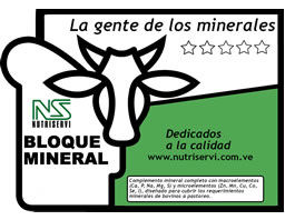 bloque_mineral